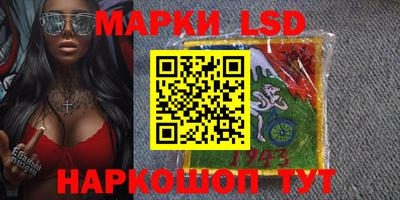 крисы Шахты