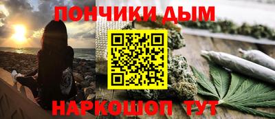 крисы Шахты