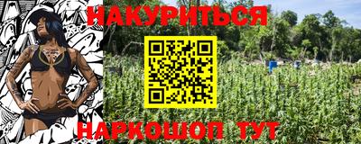 крисы Шахты