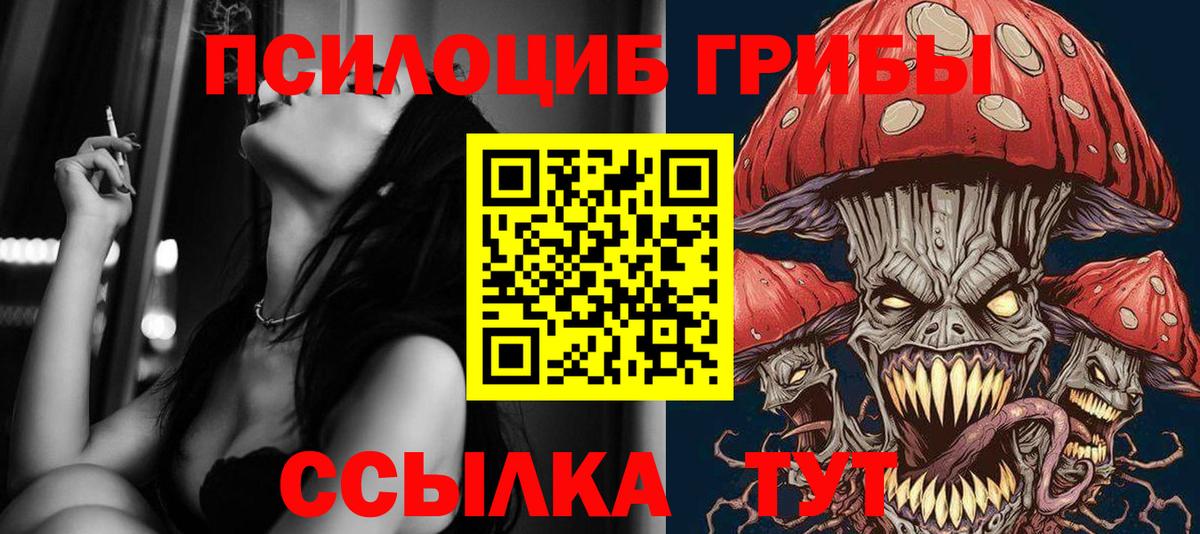 что такое наркотик  Псилоцибиновые грибы мицелий  Вход с VPN  Артёмовский  Галлюциногенные грибы Magic Shrooms 