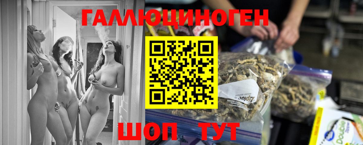 Псилоцибиновые грибы Cubensis Артёмовский